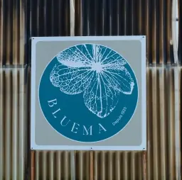 Bluema logo