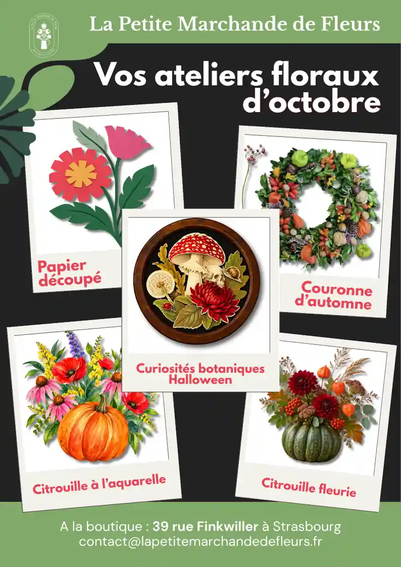 Affiche des ateliers floraux d’octobre 2026 proposés par La Petite Marchande de Fleurs à Strasbourg : papier découpé, couronne d’automne, collages botaniques Halloween, citrouille à l’aquarelle et citrouille fleurie.